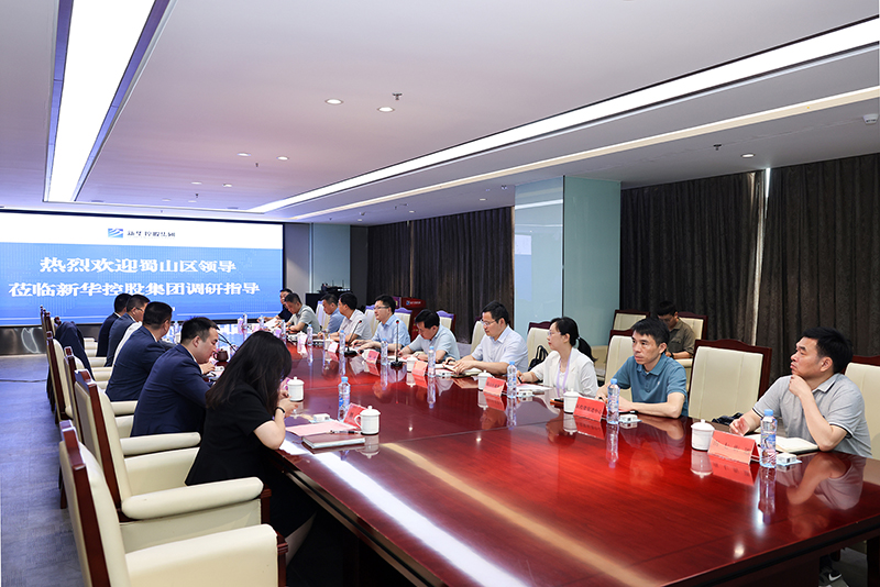 合肥市蜀山區(qū)委副書記、區(qū)長楊森一行深入新華控股集團調(diào)研指導(dǎo)